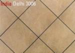 India Delhi